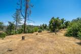 15809 Old Stage Coach Road - Photo 5
