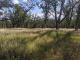  Palo Cedro Drive Drive - Photo 1