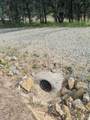  Palo Cedro Drive Drive - Photo 11