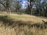 Palo Cedro Drive Drive - Photo 2