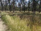  Palo Cedro Drive Drive - Photo 3