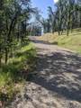  Palo Cedro Drive Drive - Photo 5