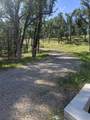  Palo Cedro Drive Drive - Photo 6