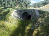  Palo Cedro Drive Drive - Photo 9