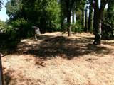 20682 Sigma Drive - Photo 2