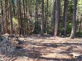  Manzanita Creek Drive - Photo 10