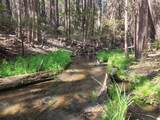  Manzanita Creek Drive - Photo 3