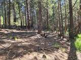  Manzanita Creek Drive - Photo 4