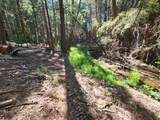  Manzanita Creek Drive - Photo 6