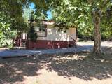 14739 Ravine Road - Photo 21