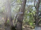 14028 Oscar Place - Photo 11