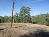 14028 Oscar Place - Photo 13