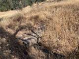 14028 Oscar Place - Photo 19