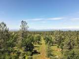  Hwy 44 & Mcwebth Way - Photo 1