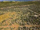  Hwy 44 & Mcwebth Way - Photo 5