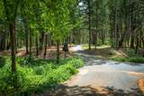 29230 Fenders Ferry Road - Photo 43
