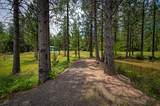 29230 Fenders Ferry Road - Photo 47