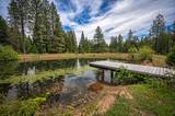 29230 Fenders Ferry Road - Photo 52