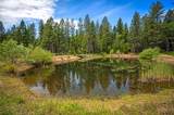 29230 Fenders Ferry Road - Photo 54