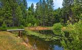 29230 Fenders Ferry Road - Photo 56