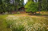 29230 Fenders Ferry Road - Photo 59