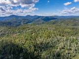 0000 Backbone Road - Photo 13
