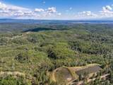 0000 Backbone Road - Photo 17