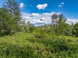 0000 Backbone Road - Photo 21