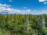 0000 Backbone Road - Photo 23