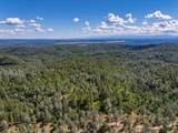 0000 Backbone Road - Photo 26