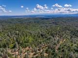 0000 Backbone Road - Photo 27