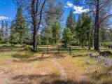 0000 Backbone Road - Photo 3