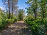 0000 Backbone Road - Photo 5