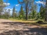 0000 Backbone Road - Photo 7