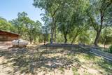 12435 Renegade Lane - Photo 29