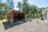12435 Renegade Lane - Photo 40