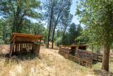 12435 Renegade Lane - Photo 45