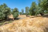 12435 Renegade Lane - Photo 46