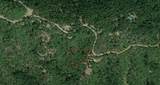 2.53 acres Waterman Road - Photo 18