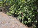 2.53 acres Waterman Road - Photo 6
