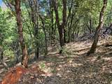 2.53 acres Waterman Road - Photo 9
