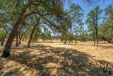 22400 Elk Trail - Photo 56