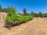 22400 Elk Trail - Photo 88
