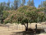 17972 Wild Weed Way - Photo 96