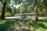 32667 White Fir Drive - Photo 3