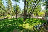 32667 White Fir Drive - Photo 35
