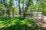 32667 White Fir Drive - Photo 36