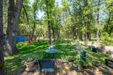 32667 White Fir Drive - Photo 38