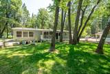 32667 White Fir Drive - Photo 42