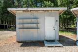 32667 White Fir Drive - Photo 49